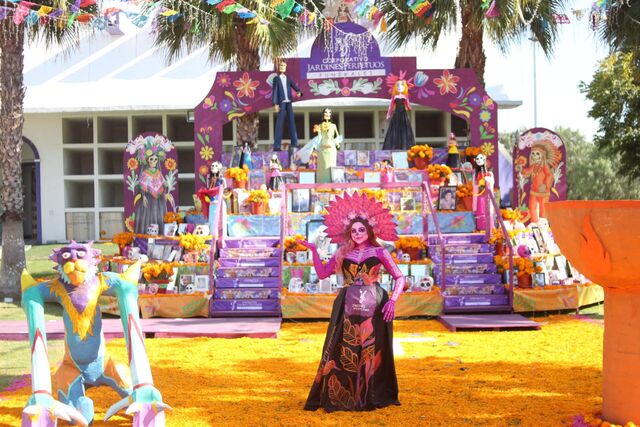 Gran altar de muertos con arco de Jardines Perpetuos, catrinas y alfombra de cempasúchil