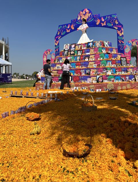 Altar monumental de varios pisos cubierto de retratos, bajo un arco morado con mariposas, con una catrina de vestido blanco al centro y una alfombra de cempasúchil al frente
