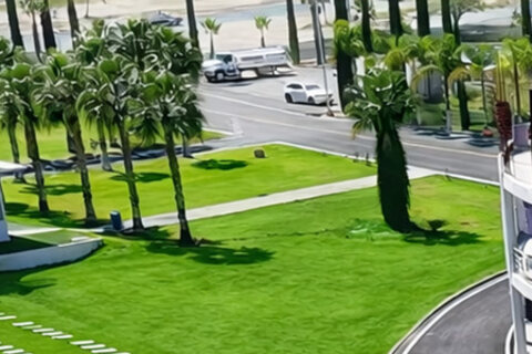 Jardines con palmeras y césped junto a la vialidad principal