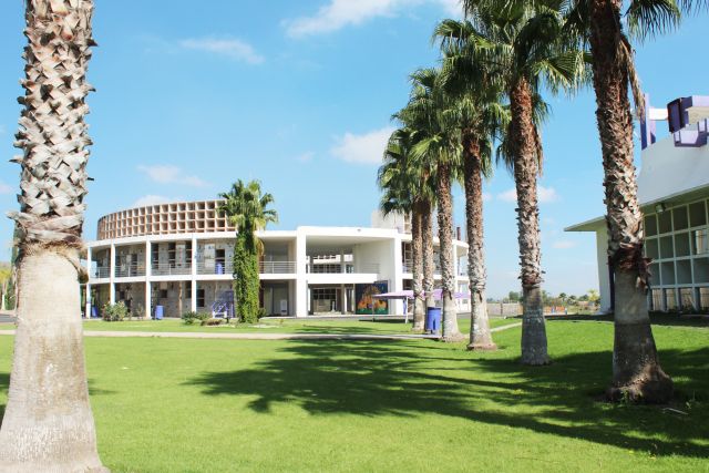 Hilera de palmeras sobre el césped con el edificio circular de nichos al fondo